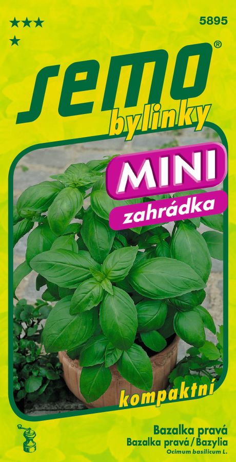 BAZALKA Mammolo Genovese mini