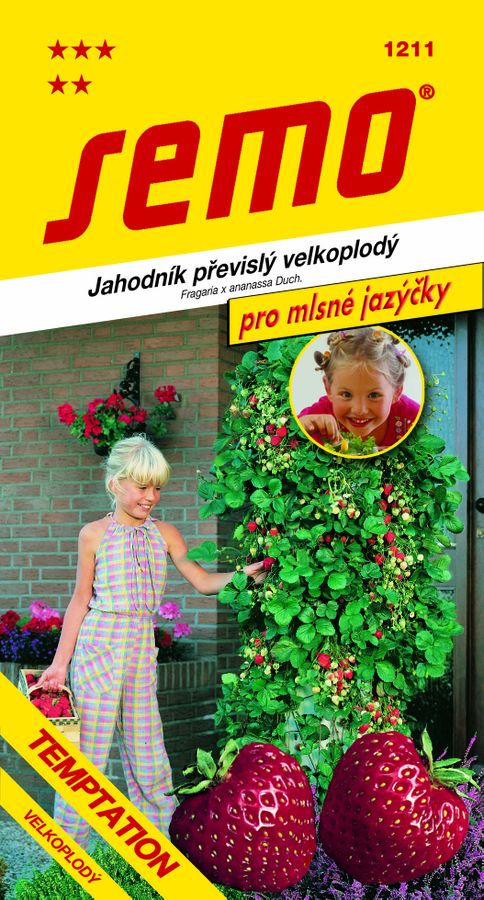 JAHODA previslá Temptation mlsné jazýčky