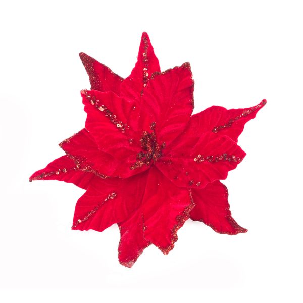 POINSETIA (vianočná ruža) zamat ČERVENÁ 25cm