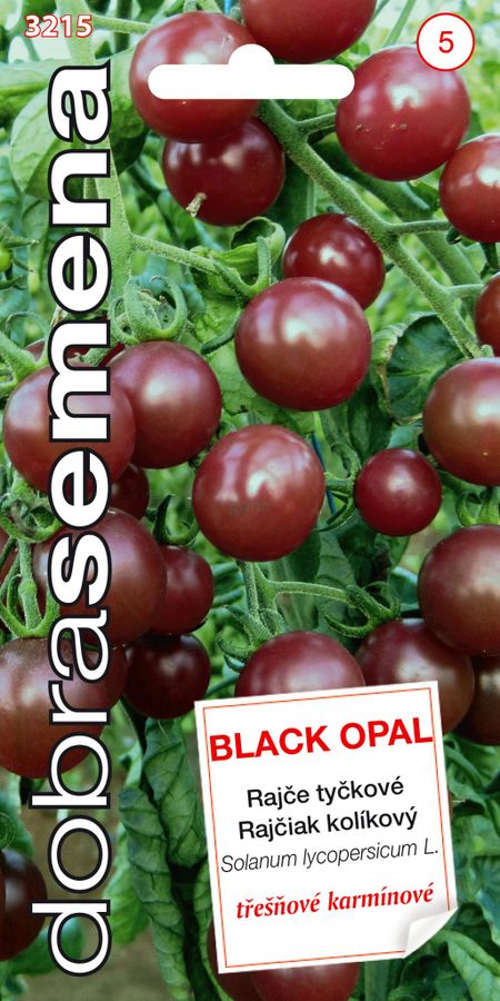 RAJČIAK kolíkový čerešňový Black Opal