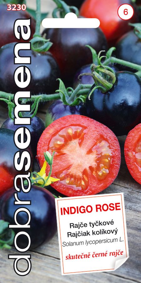 RAJČIAK kolíkový Indigo Rose