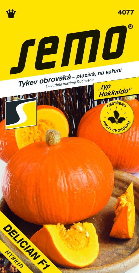 TEKVICA hokkaido oranžová Delician F1