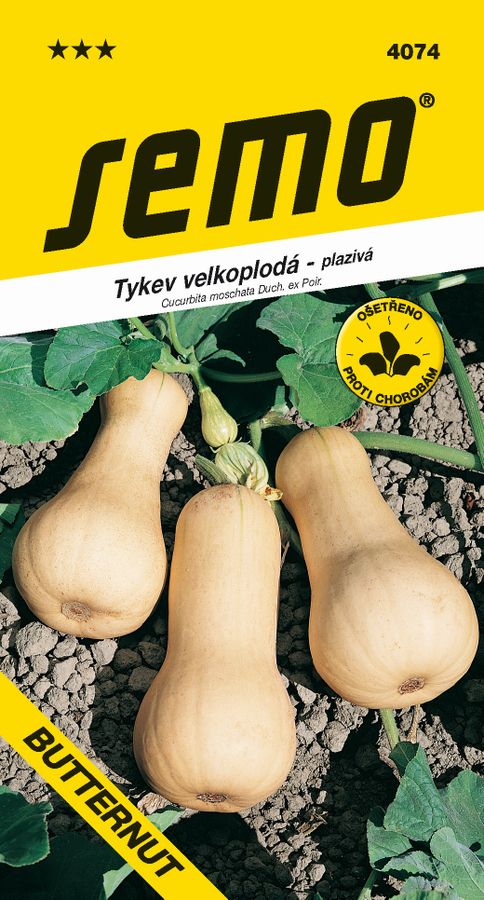 TEKVICA maslová-muškátová Butternut Liscia