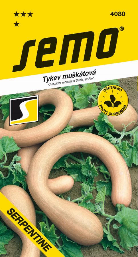 TEKVICA muškátová Serpentine F1