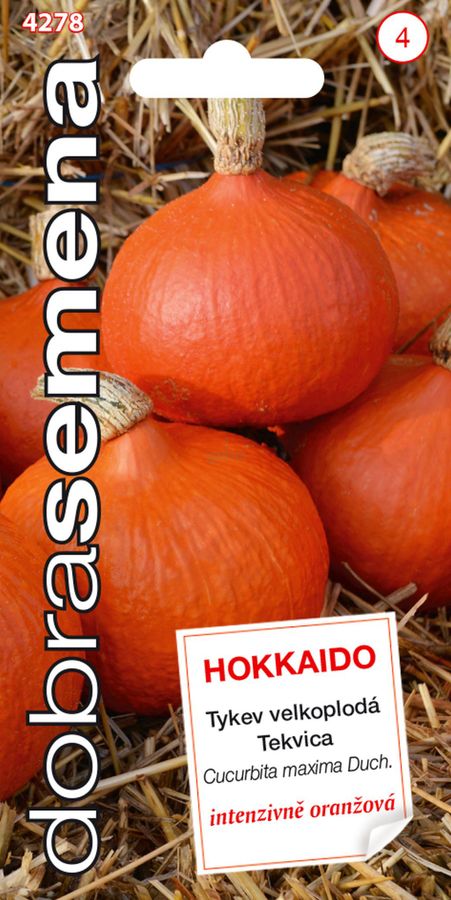 TEKVICA obrovská Hokkaido Orange