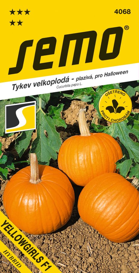 TEKVICA pre halloween Yellowgirls F1