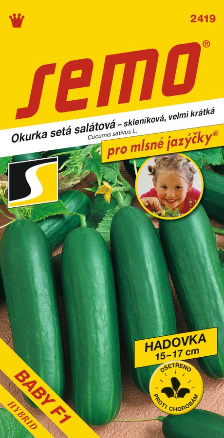 UHORKY šálátové skleníkové Baby F1 pre mlsné jazýčky